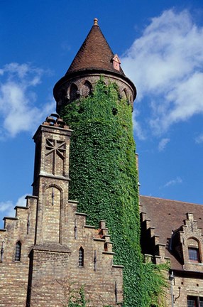 Framed Ivy-Covered Medieval Tower Print