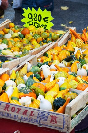 Framed Pumpkins For Sale at Market Stall Print