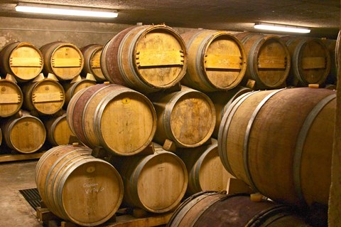 Framed Wine cellar, Alain Voge, France Print