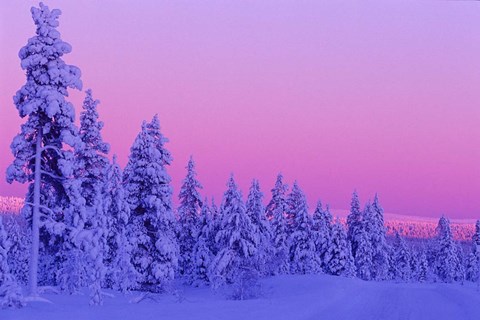 Framed Winter Sunset in Finland Print