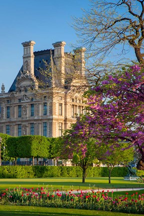 Framed Springtime in Jardin des Tuileries Print