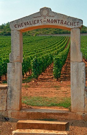Framed Stone Portico to the Vineyard Chevalier-Montrachet Print
