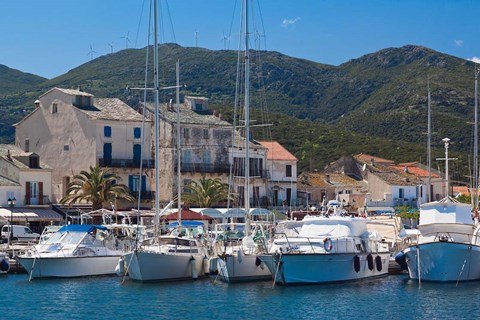 Framed Macinaggio Harbor Print