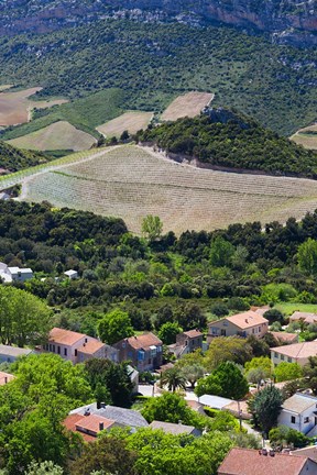 Framed Le Cap Corse, Patrimonio Print