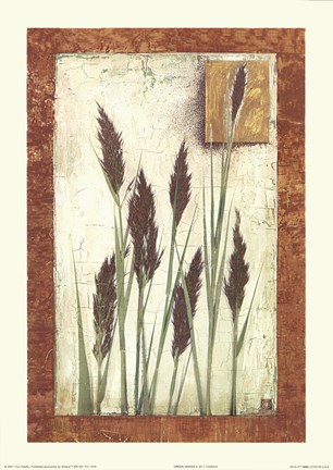 Framed Green Grasses Print