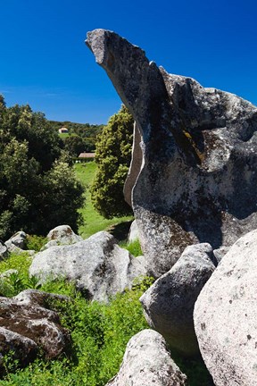 Framed Filitosa Archeological Site Print