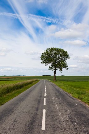 Framed Road through the countryside, Beaumont, Somme, Picardy, France Print