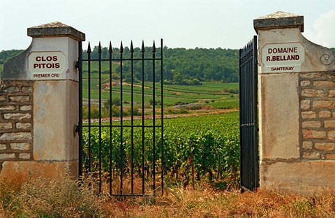 Framed Iron Gate to the Vineyard Clos Pitois Print