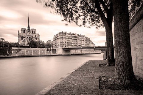 Framed River Seine and Cathedral Notre Dame Print