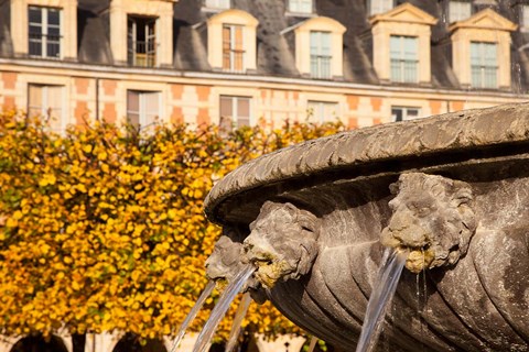 Framed Lion Heads Fountain in Paris, France Print