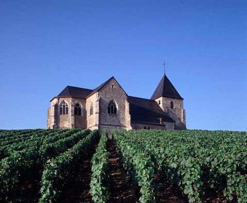 Framed Chavot Church and Vineyards, France Print