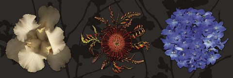 Framed Floral Burst I Print