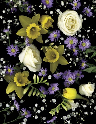 Framed Flowers 3 Print