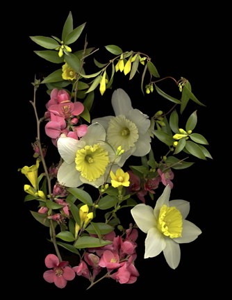 Framed Early Spring &#39;08 Print