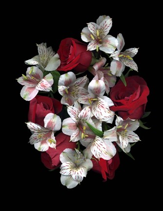 Framed Red Roses And Alstromeria Print