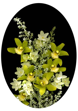 Framed Orchids &amp; Paperwhites Print