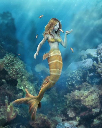 Framed Clown Fish Kiss Print