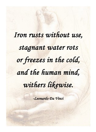 Framed Iron Rusts Without Use -Da Vinci Quote Print