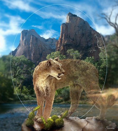 Framed Lion Of Zion Print