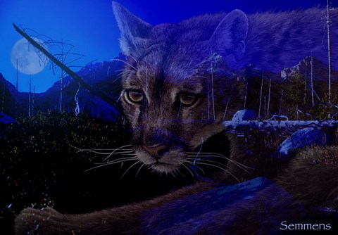 Framed Silent Night 2 Print