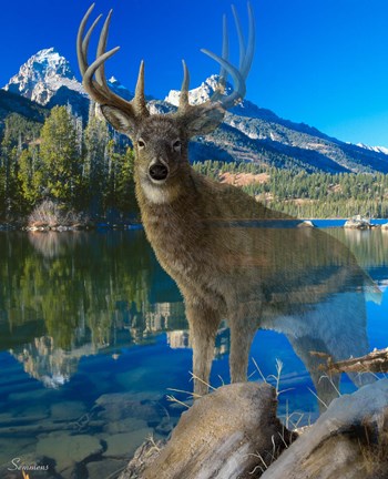 Framed Point Of View 2 Print