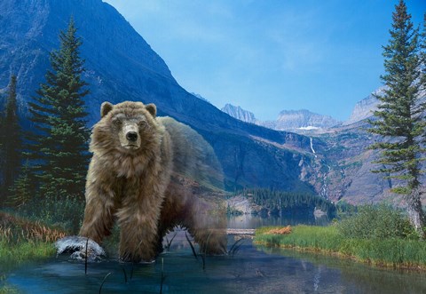 Framed Walk On The Wild Side Print