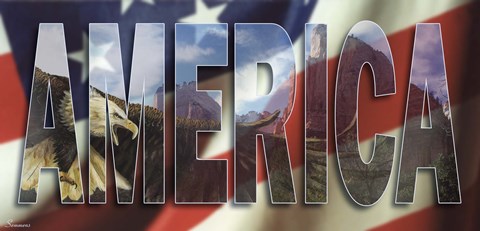 Framed America Print