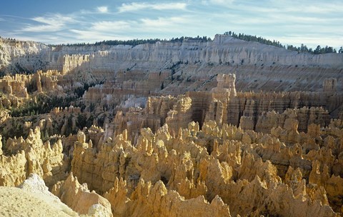 Framed Bryce Canyon C Print
