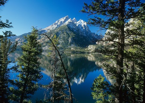 Framed Teton G Print