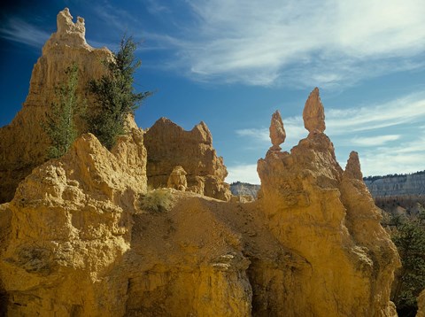 Framed Bryce Canyon L Print