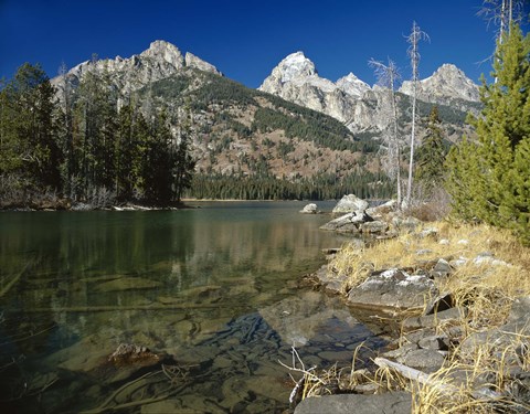 Framed Teton M Print