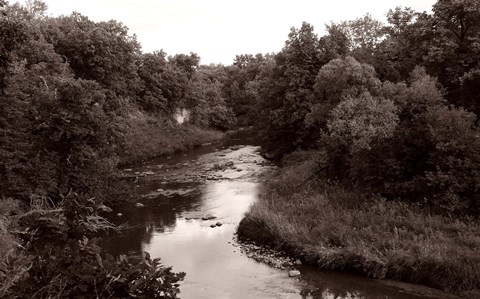 Framed Buffalo River 2 Print