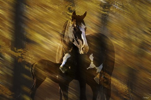 Framed Wild Horses in the Badlands I Print