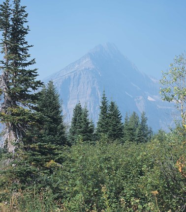 Framed Misty Blue Mountains Print