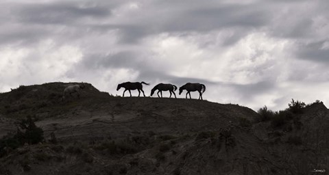 Framed Horse Silhouettes Under Clouded Sky Print