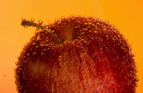 Framed Red Fruit And Water Droplets Print