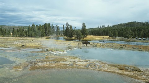 Framed Yellowstone 3 Print