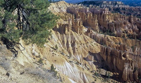 Framed Bryce Canyon 3 Print