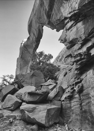 Framed Arches 27 Print