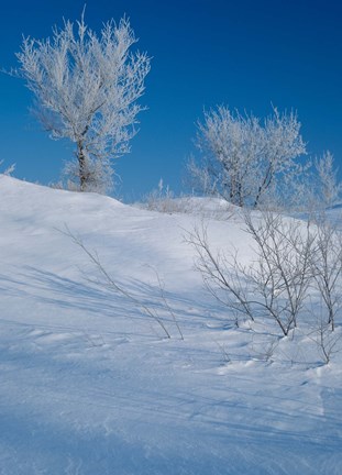 Framed Snow Terrain I Print