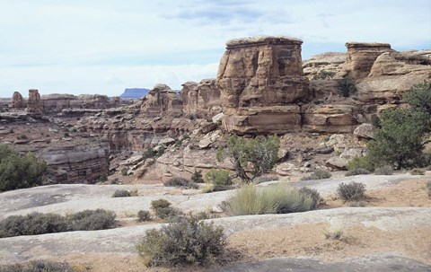 Framed Canyonland 4 Print