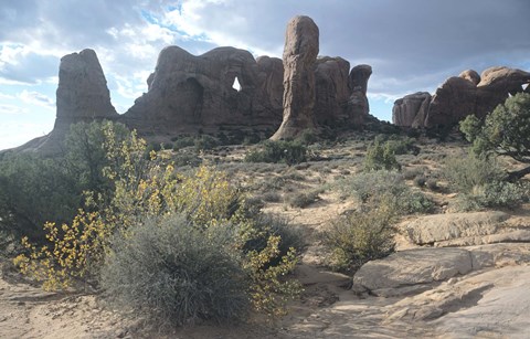 Framed Arches 25 Print