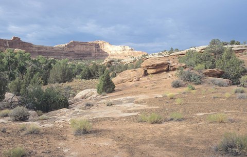 Framed Canyonland 20 Print