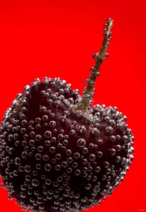 Framed Cherry Covered In Water Drops III Print