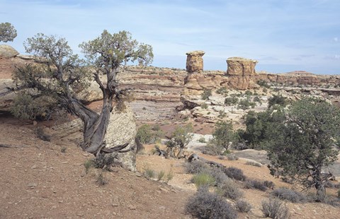 Framed Canyonland 8 Print