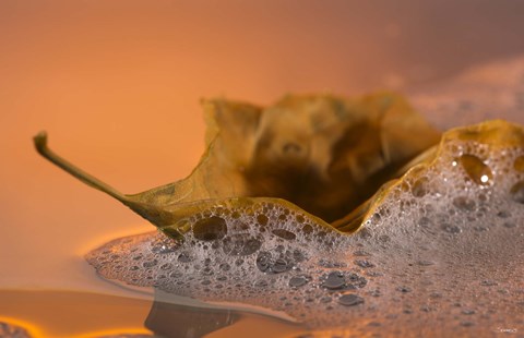 Framed Yellow Fall Leaf Floating In Bubbles I Print