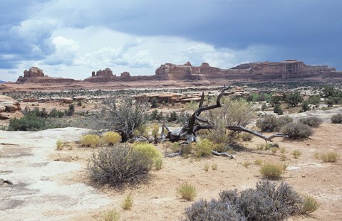 Framed Canyonland 7 Print