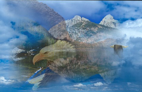 Framed Dreamscape Print