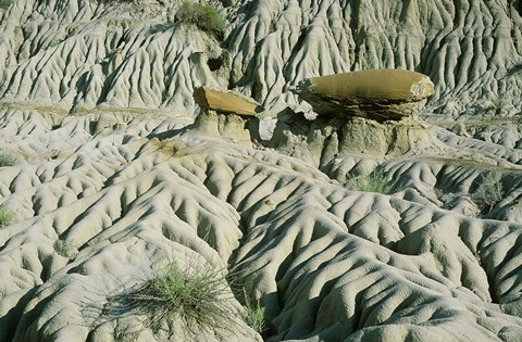 Framed Theodore Roosevelt National Park 18 Print