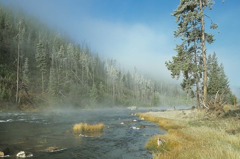 Framed Yellowstone 1 Print
